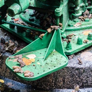 Toads on the gun base