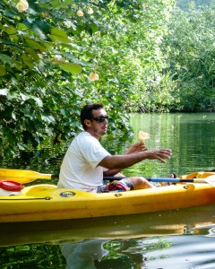 Vivian describes the wild hibiscus 