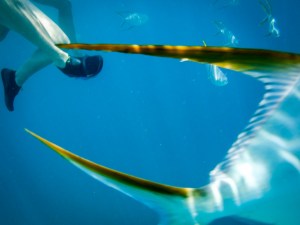 No, they're not really operating on Cathy